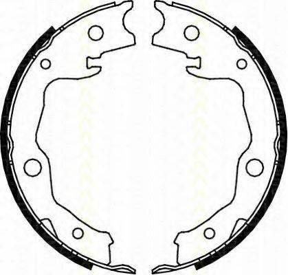 TRISCAN 810013042 Комплект гальмівних колодок, стоянкова гальмівна система
