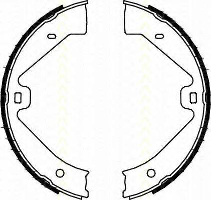 TRISCAN 810029002 Комплект гальмівних колодок, стоянкова гальмівна система