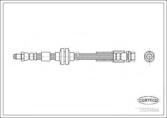 CORTECO 19034668 Гальмівний шланг