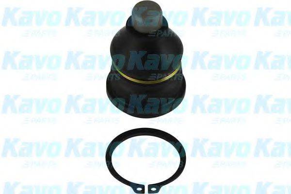 KAVO PARTS SBJ6505 несучий / напрямний шарнір