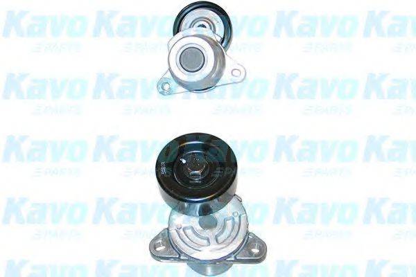 KAVO PARTS DTP3003 Натяжний ролик, полікліновий ремінь