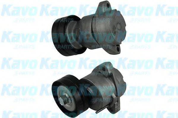 KAVO PARTS DTP1001 Натяжний ролик, полікліновий ремінь