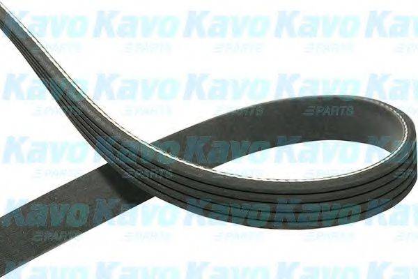 KAVO PARTS DMV1007 Полікліновий ремінь