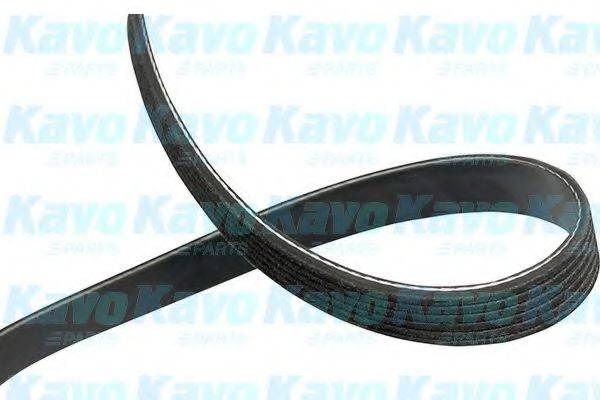 KAVO PARTS DMV1010 Полікліновий ремінь