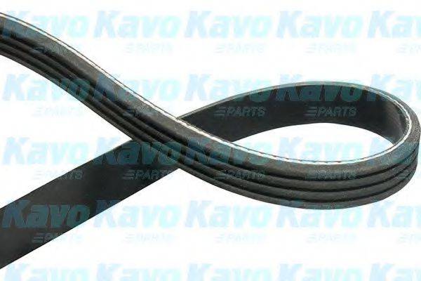 KAVO PARTS DMV2036 Полікліновий ремінь