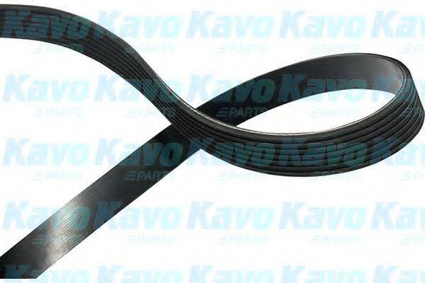 KAVO PARTS DMV2042 Полікліновий ремінь