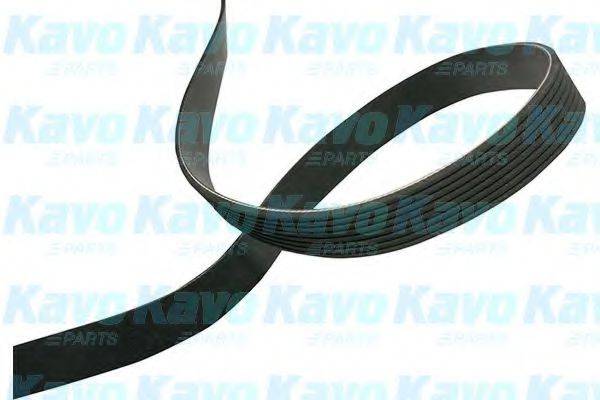 KAVO PARTS DMV4533 Полікліновий ремінь