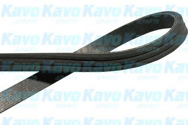 KAVO PARTS DMV9045 Полікліновий ремінь