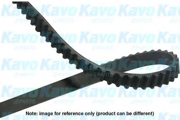 KAVO PARTS DTB6528 Ремінь ГРМ