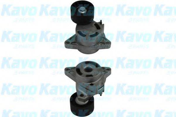 KAVO PARTS DTP6510 Натяжний ролик, полікліновий ремінь