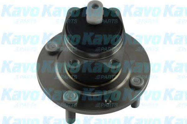 KAVO PARTS WBH5527 Комплект підшипника маточини колеса