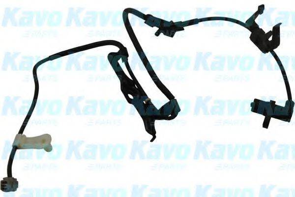 KAVO PARTS BAS9019 Датчик, частота обертання колеса