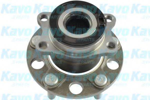 KAVO PARTS WBH5536 Комплект підшипника маточини колеса