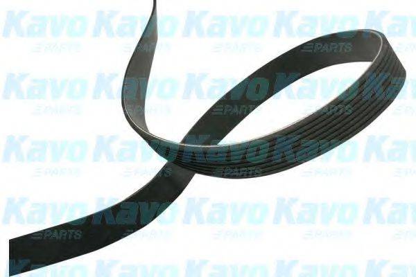 KAVO PARTS DMV4553 Полікліновий ремінь