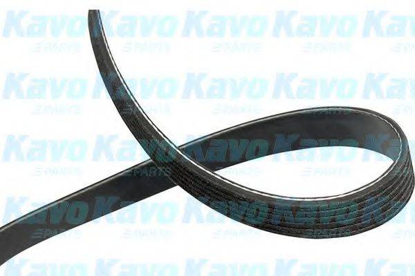 KAVO PARTS DMV4023 Полікліновий ремінь