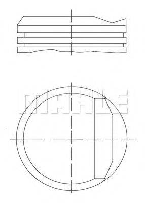 MAHLE ORIGINAL 0348100 Поршень