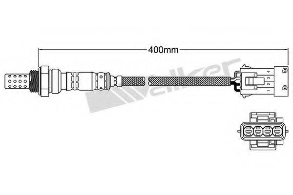 WALKER PRODUCTS 25024536 Лямбда-зонд