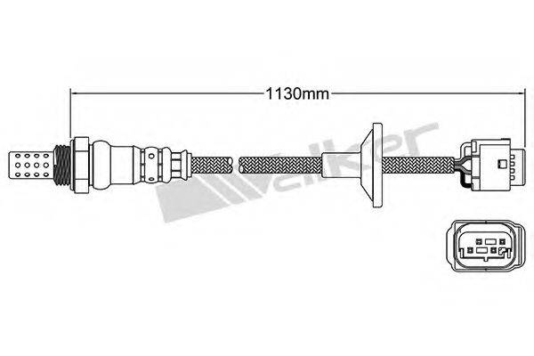 WALKER PRODUCTS 25024565 Лямбда-зонд