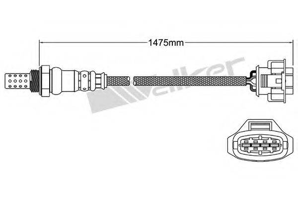 WALKER PRODUCTS 25024853 Лямбда-зонд