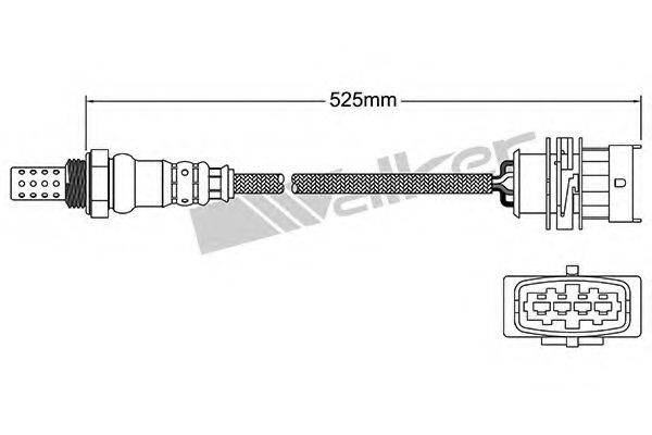 WALKER PRODUCTS 25024735 Лямбда-зонд