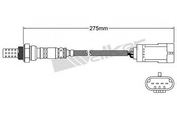 WALKER PRODUCTS 25024781 Лямбда-зонд