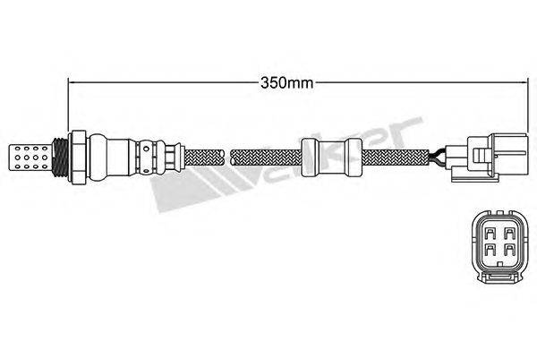 WALKER PRODUCTS 25024786 Лямбда-зонд