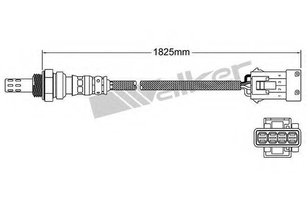 WALKER PRODUCTS 25024921 Лямбда-зонд