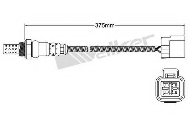 WALKER PRODUCTS 25024349 Лямбда-зонд