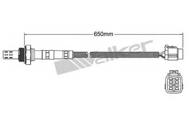 WALKER PRODUCTS 25024888 Лямбда-зонд