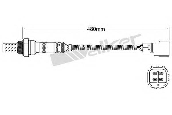 WALKER PRODUCTS 25024305 Лямбда-зонд