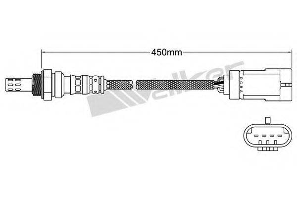 WALKER PRODUCTS 25024971 Лямбда-зонд