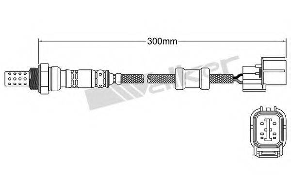 WALKER PRODUCTS 25024011 Лямбда-зонд