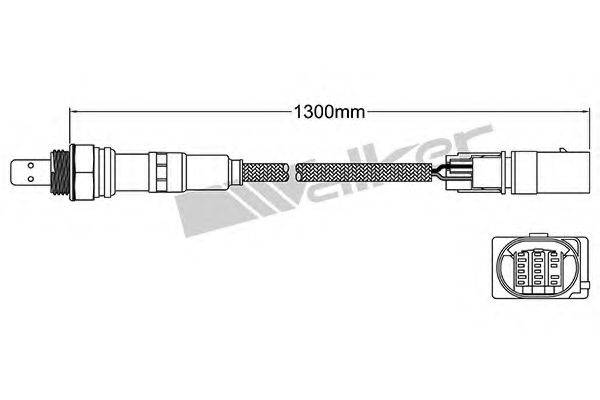 WALKER PRODUCTS 25025081 Лямбда-зонд