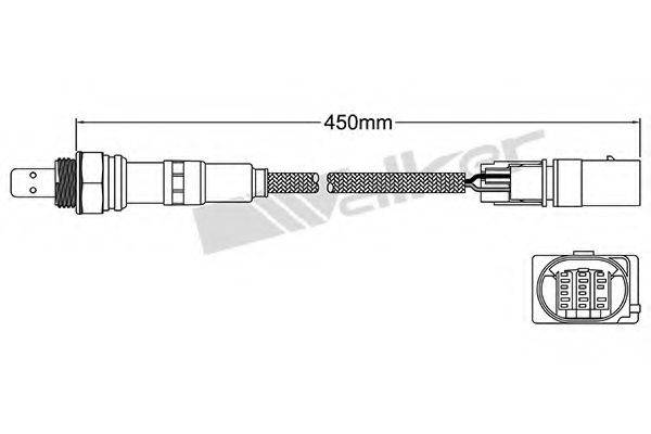 WALKER PRODUCTS 25025097 Лямбда-зонд