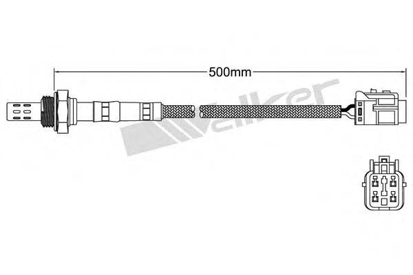 WALKER PRODUCTS 250241065 Лямбда-зонд