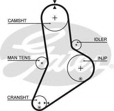 GATES 5038 Ремінь ГРМ