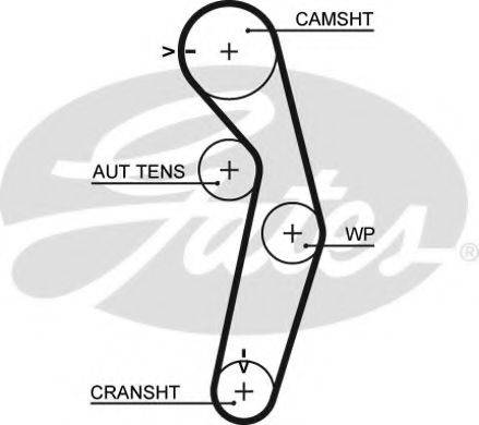 GATES 5441XS Ремінь ГРМ