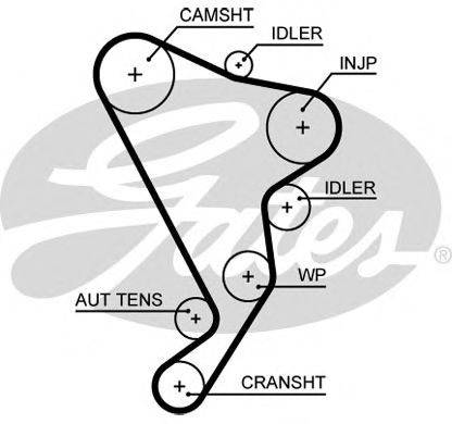 GATES 5661XS Ремінь ГРМ
