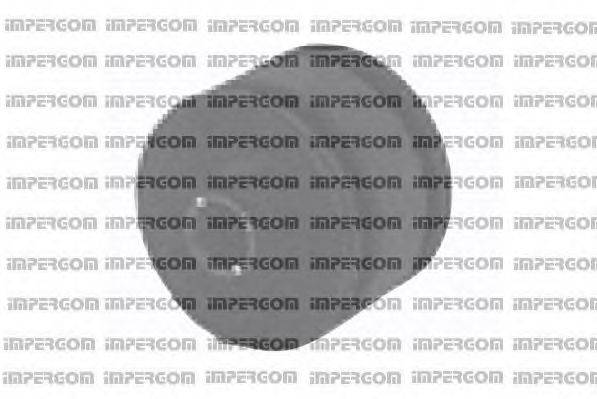 ORIGINAL IMPERIUM 7037 Кронштейн, подушки важеля