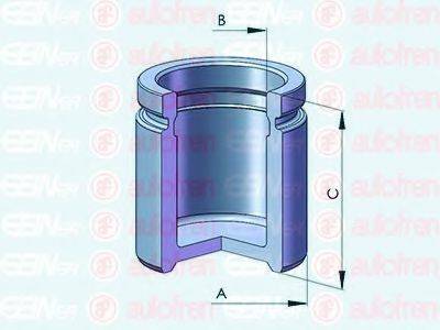 AUTOFREN SEINSA D025331 Поршень, корпус скоби гальма