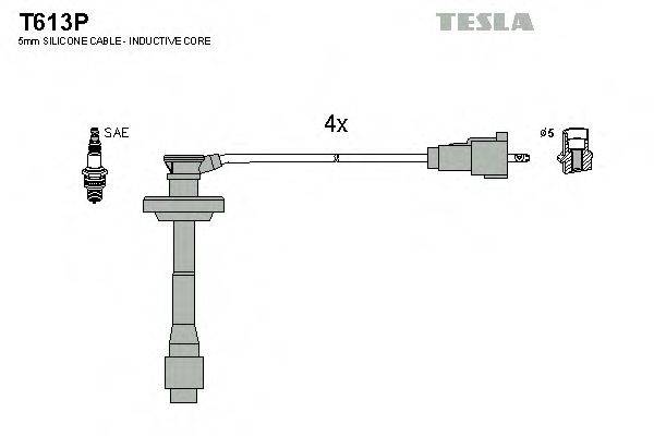 TESLA T613P Комплект дротів запалювання