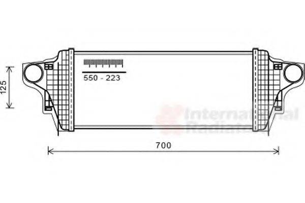 VAN WEZEL 30004551 Інтеркулер