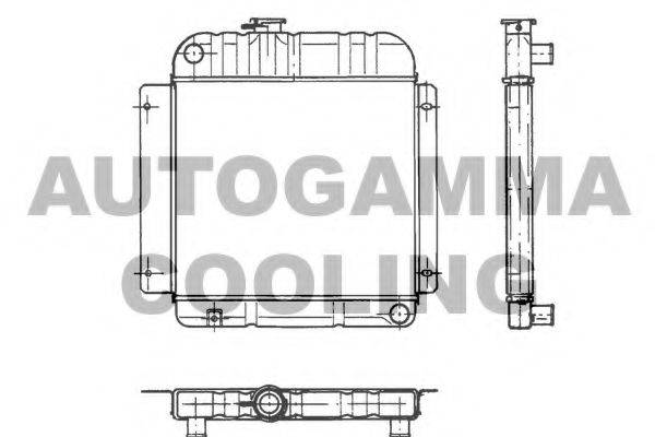 AUTOGAMMA 100080 Радіатор, охолодження двигуна