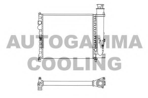 AUTOGAMMA 100162 Радіатор, охолодження двигуна