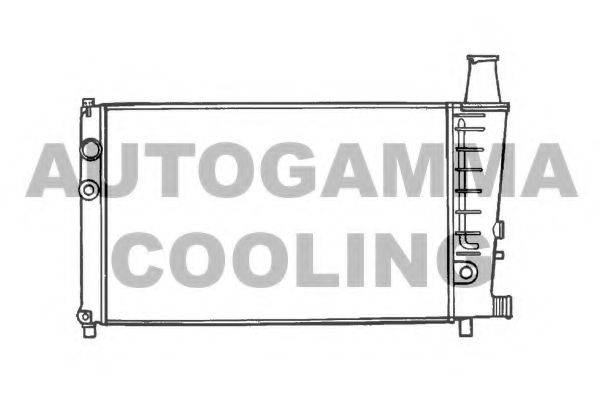 AUTOGAMMA 100166 Радіатор, охолодження двигуна