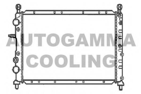 AUTOGAMMA 100266 Радіатор, охолодження двигуна