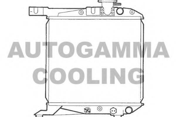 AUTOGAMMA 100412 Радіатор, охолодження двигуна