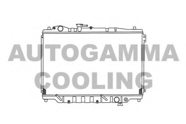 AUTOGAMMA 100502 Радіатор, охолодження двигуна