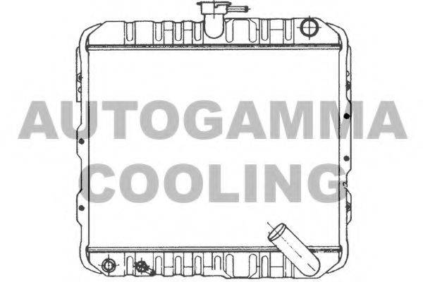 AUTOGAMMA 100566 Радіатор, охолодження двигуна