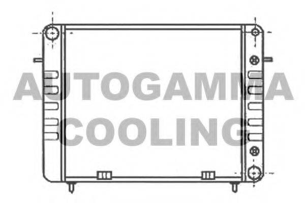 AUTOGAMMA 100702 Радіатор, охолодження двигуна